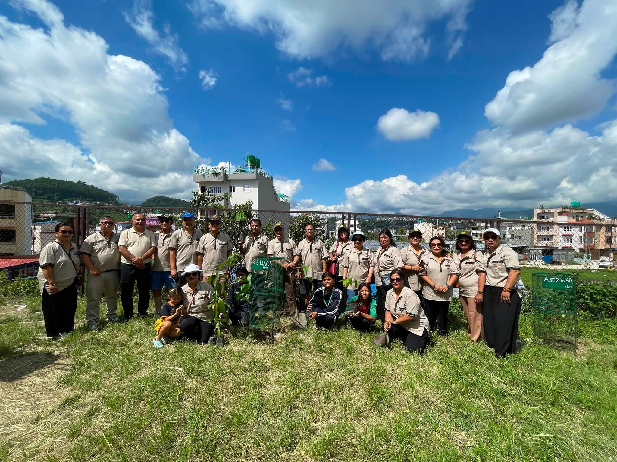 Tree Plantation