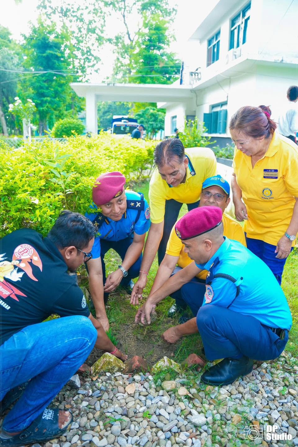 Tree Plantation Program