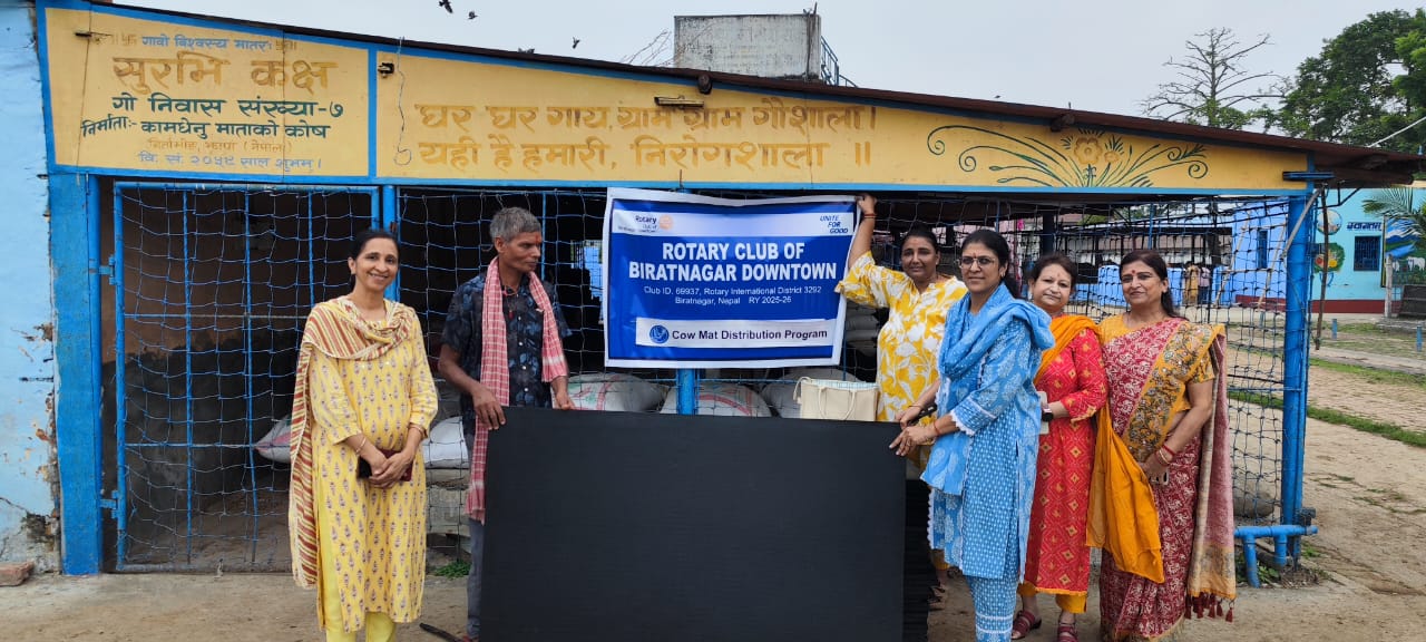 Cow Mat Distribution