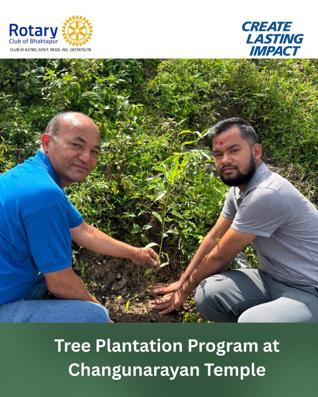 Tree Plantation