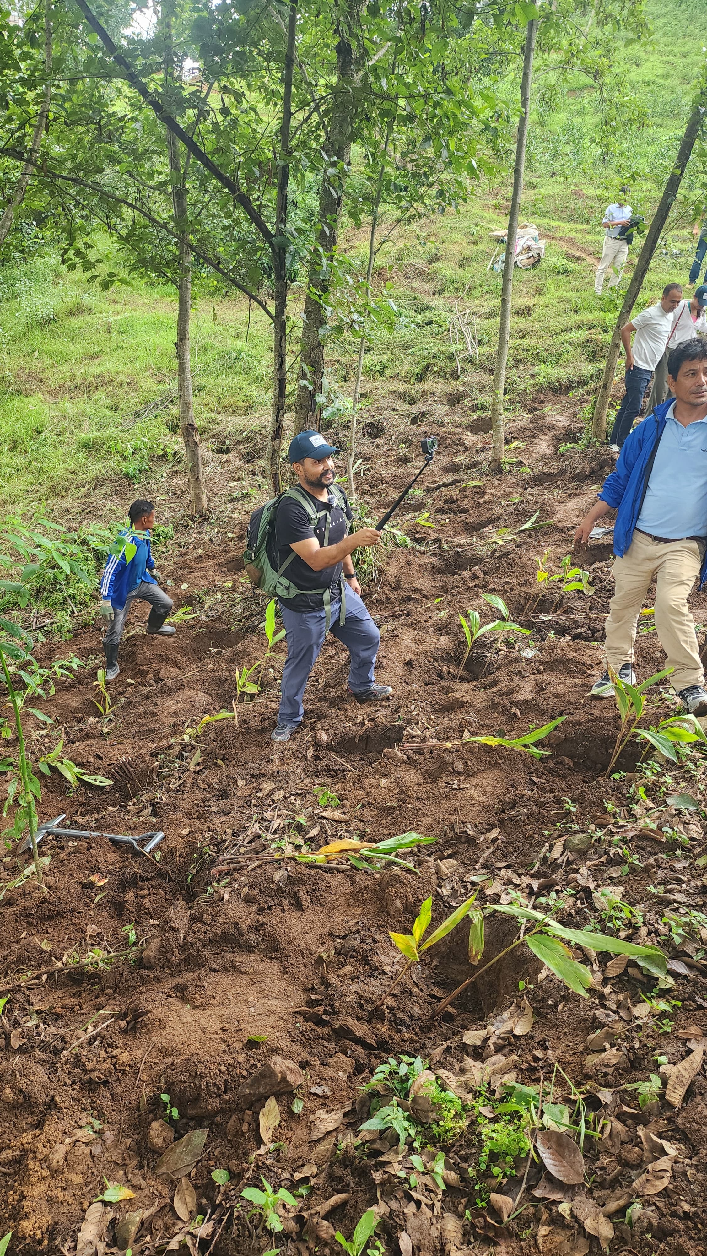 Plantation at Banepa