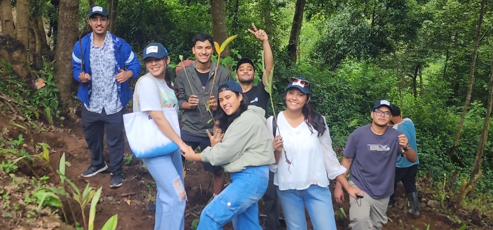 Plantation at Banepa