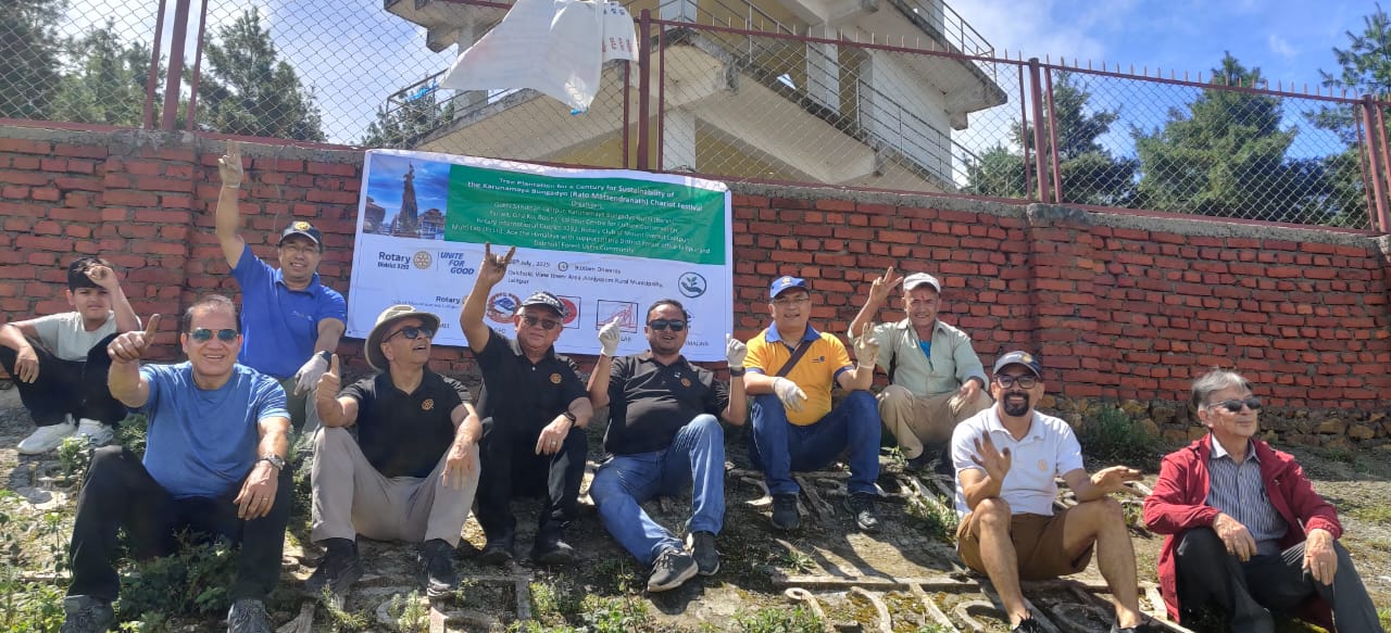 tree plantation project