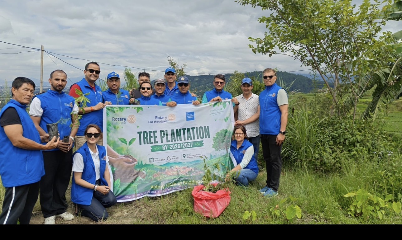 200 Tree Saplings Plantation