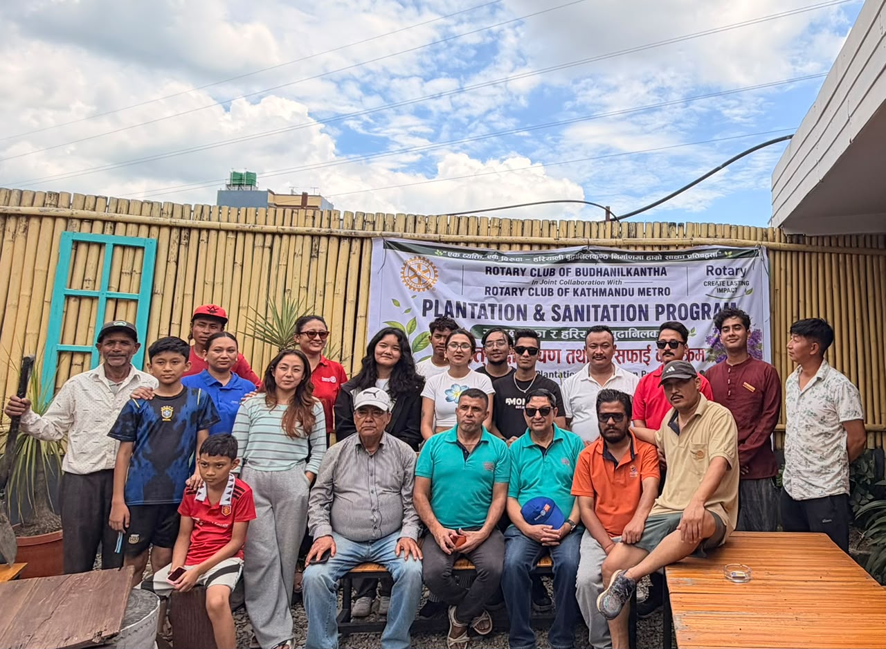250 Tree Plantation