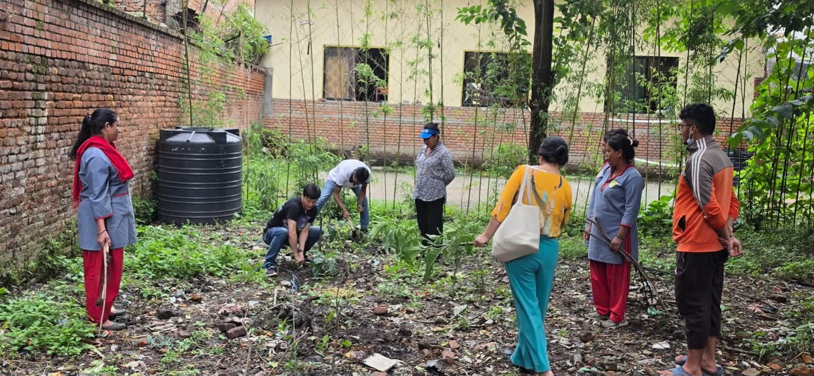 Tree plantation for sustainability of life